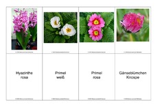 Blumen-Memo-Aufdeckspiel-12.pdf